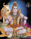 Shiva meditates